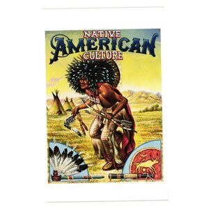 Native American Culture Illustrated Postcard 1993 USPS 19 Cent Commemorative
